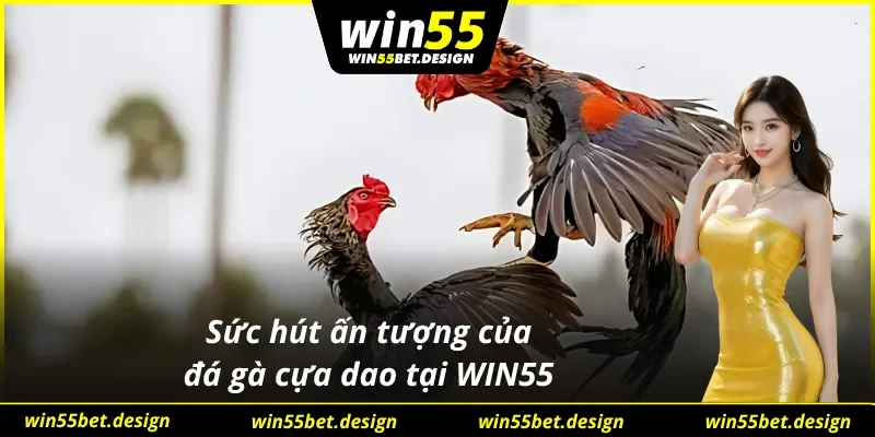 Những khía cạnh nổi bật tạo nên thành công của đá gà cựa dao