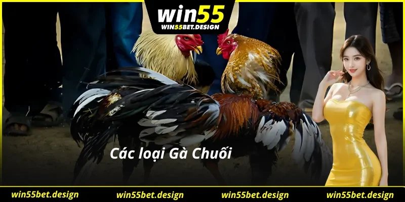 Các loại Gà Chuối