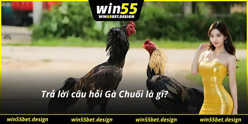 Sơ lược về Gà Chuối