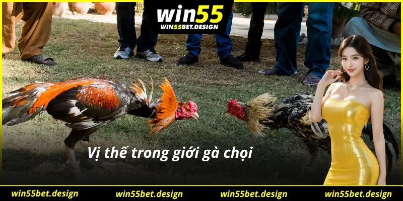 Vị thế trên chiến trường