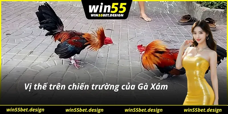 Ưu điểm trên chiến trường