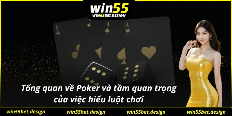 Tầm quan trọng của việc hiểu luật