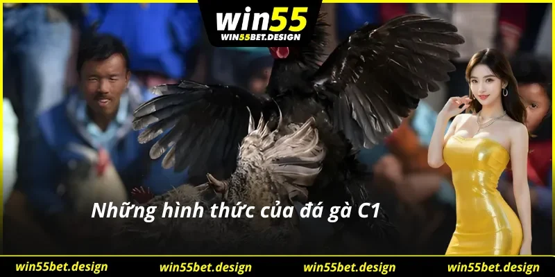 Một số hình thức đá gà