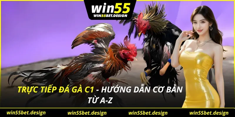Trực Tiếp Đá Gà C1