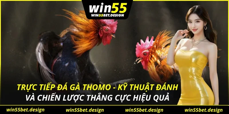 Trực Tiếp Đá Gà Thomo