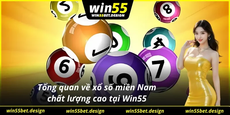 Bức tranh toàn cảnh về loại hình xổ số tại Win55